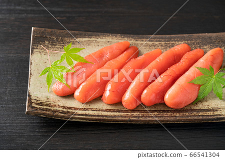 Tako Tako 66541304