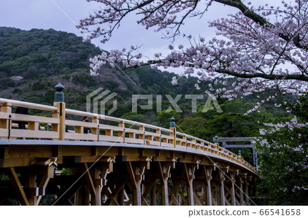 Ise shrine Uji Bridge 66541658