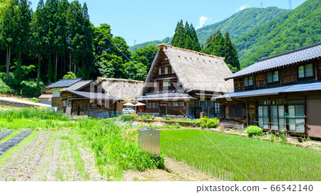 Suganuma Gassho-zukuri village in early summer 66542140