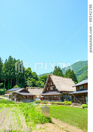 Suganuma Gassho-zukuri village in early summer 66542196