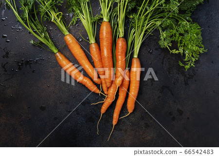 Fresh carrots with green leaves 66542483