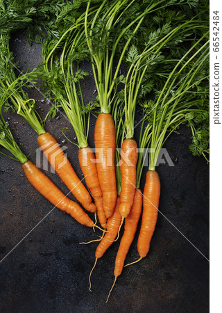 Fresh carrots with green leaves 66542484