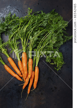Fresh carrots with green leaves 66542485