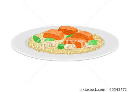 Cubes of Salmon Fish with Rice and Mushrooms Served on Plate Vector Illustration Cubes of Salmon Fish with Rice and Mushrooms Served on Plate Vector Illustration 66543772