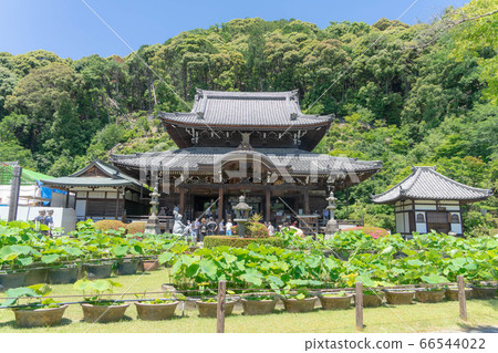 三室寺2247 66544022