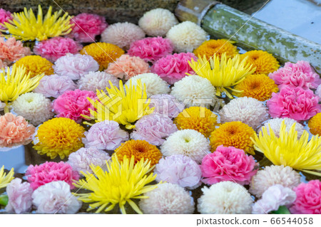 Mimuroto Temple 2128 66544058