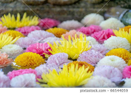 Mimuroto Temple 2131 66544059