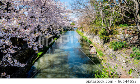 八幡護城河 66544652