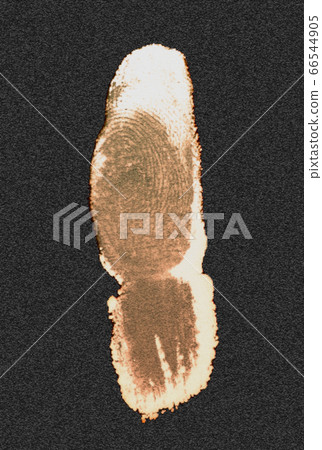 finger print identification biometrics ink 66544905
