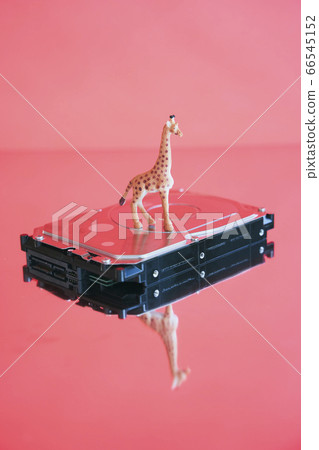 Giraffe and HDD 66545152