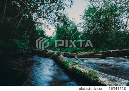 Great photo of a river with running water through a fallen broken tree over stream in the summer forest Great photo of a river with running water through a fallen broken tree over stream in the summer forest 66545818
