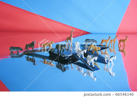 Safari中的硬盤 Safari中的硬盤 66546140