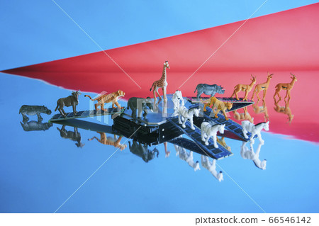 Safari中的硬盤 66546142