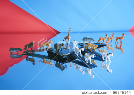 Safari中的硬盤 66546144