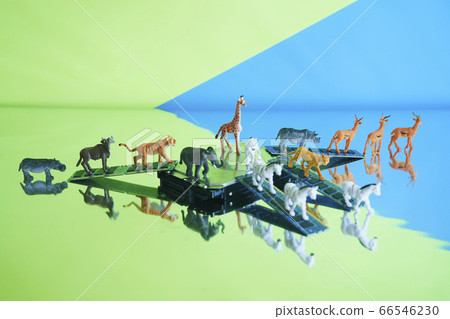 Safari中的硬盤 66546230