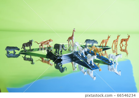 Safari中的硬盤 Safari中的硬盤 66546234