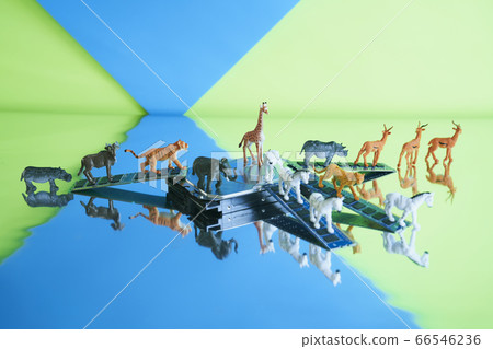 Safari中的硬盤 Safari中的硬盤 66546236