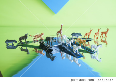 Safari中的硬盤 Safari中的硬盤 66546237