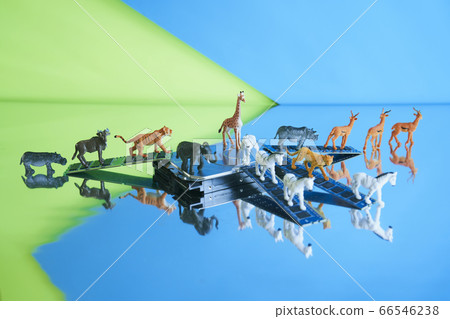 Safari中的硬盤 Safari中的硬盤 66546238