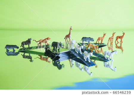 Safari中的硬盤 66546239