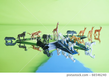 Safari中的硬盤 Safari中的硬盤 66546240