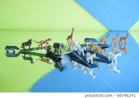 Safari中的硬盤 Safari中的硬盤 66546241
