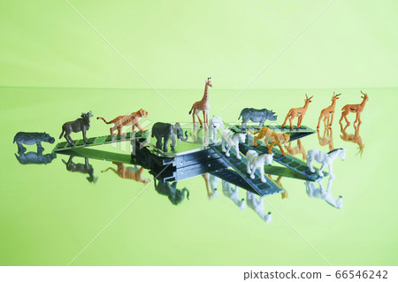 Safari中的硬盤 Safari中的硬盤 66546242
