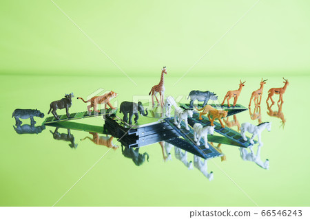 Safari中的硬盤 66546243