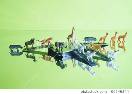 Safari中的硬盤 Safari中的硬盤 66546244