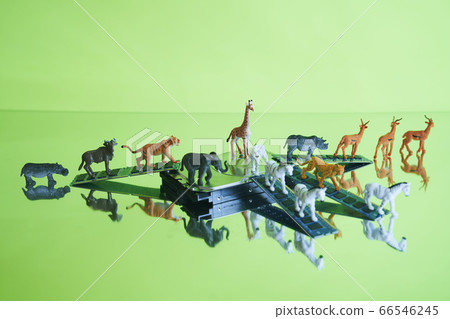 Safari中的硬盤 66546245