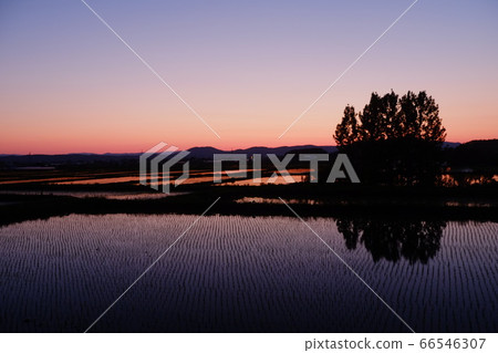 Rural scenery at dusk 66546307