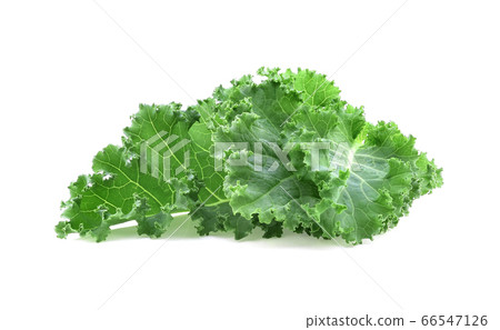 Organic green kale leaf isolated on white Organic green kale leaf isolated on white 66547126