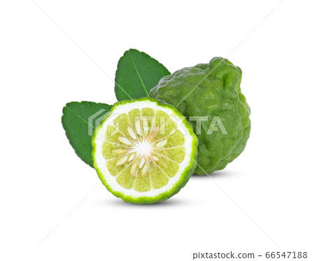 bergamot on white background.herb for health bergamot on white background.herb for health 66547188