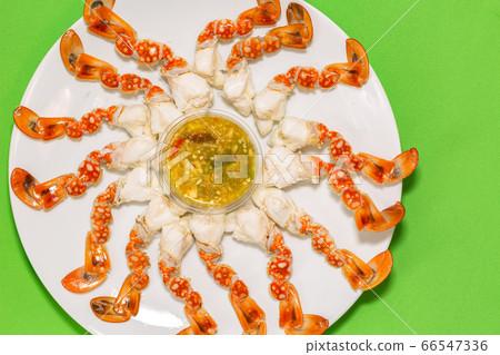 .Fresh crab meat in plate with copy space 66547336