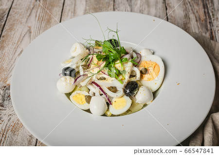 Close-up Mediterranean food. Salad with squid Close-up Mediterranean food. Salad with squid 66547841