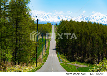 Road leading to the mountains of remaining snow 66548205