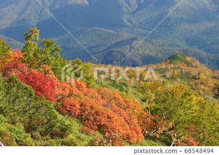 Autumn leaves of Ginsendai (Hokkaido, Kamikawa Town, Daisetsuzan) 66548494