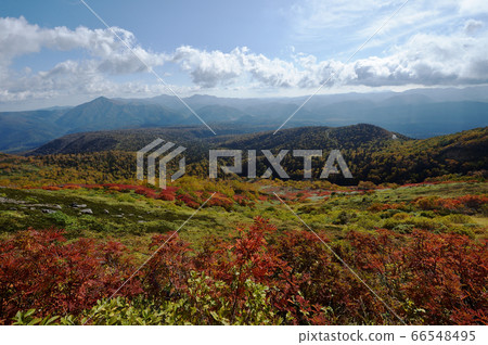 Autumn leaves of Ginsendai (Hokkaido, Kamikawa Town, Daisetsuzan) 66548495