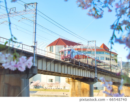 Takarazuka Hankyu Train and Sakura Takarazuka Hankyu Train and Sakura 66548740
