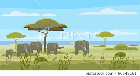 African landscape, savannah, wild herd of elephants, panorama, nature, trees, wilderness. Modern flat cartoon, vector illustration isolated 66549161