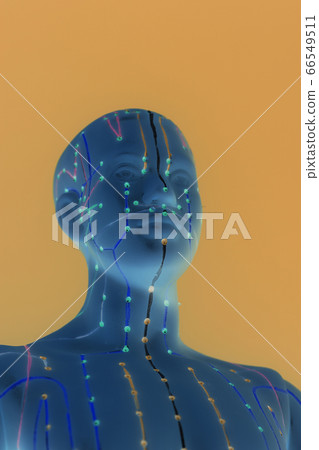 Medical acupuncture model of human head on yellow Medical acupuncture model of human head on yellow 66549511