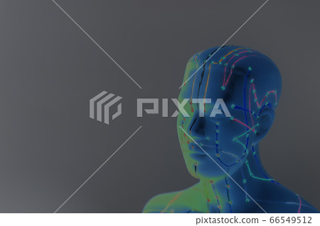 Medical acupuncture model of human head on gray Medical acupuncture model of human head on gray 66549512