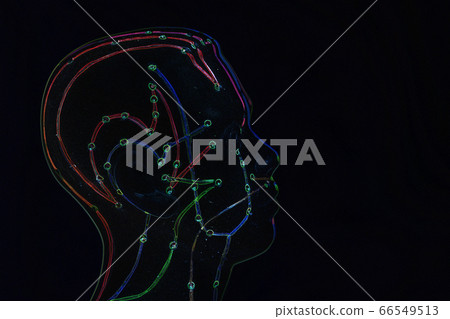 Medical acupuncture model of human head on black Medical acupuncture model of human head on black 66549513