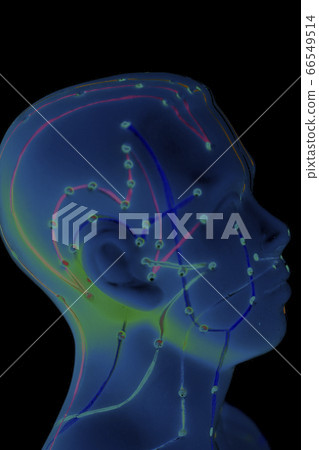 Medical acupuncture model of human head on black 66549514