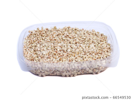 Buckwheat sprouts in box isolated on white Buckwheat sprouts in box isolated on white 66549530