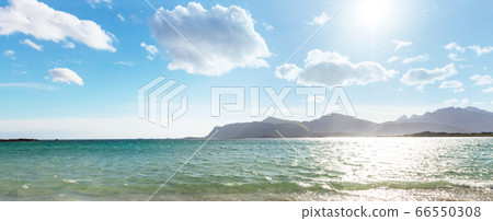 Lofoten 66550308