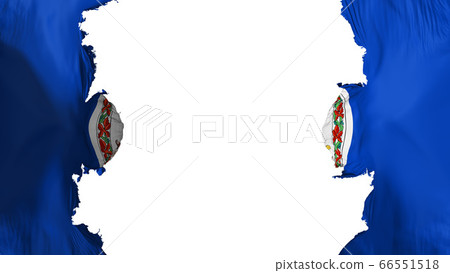 Blasted Virginia state flag Blasted Virginia state flag 66551518
