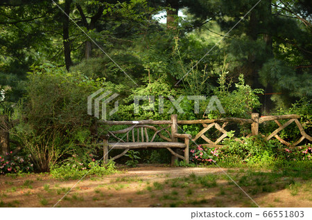 Wooden bench in beautiful park, in summer Wooden bench in beautiful park, in summer 66551803
