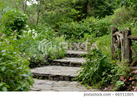A view of an alley in the park in summer 66551805