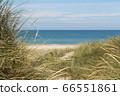 View over the sea from dunes covered in lyme grass 66551861
